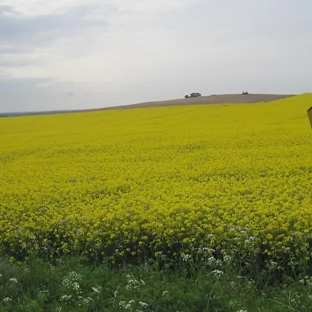 Alte Schnitterkate * Lassan