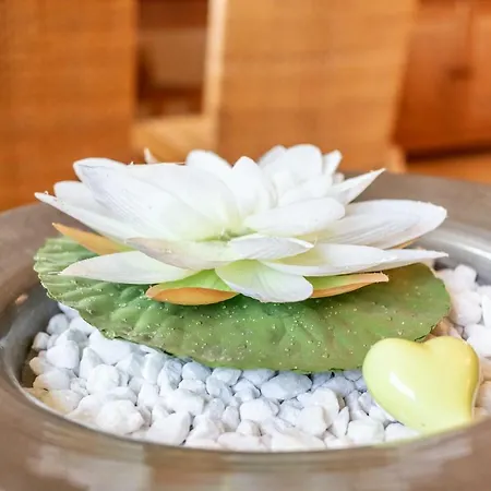 Apartman Alte Schnitterkate Lassan